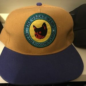 Golf Wang snapback hat